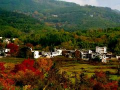 -塔川景区