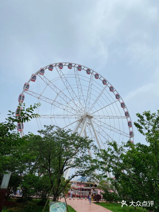 顧村公園圖片