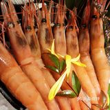 一绪和牛寿喜烧吃肉自由探店日记