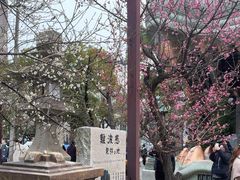 -难波八坂神社