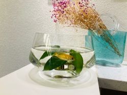 -水沐莲清瑜伽·普拉提