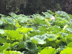 -锦里小吃街