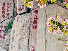 -泰山风景名胜区