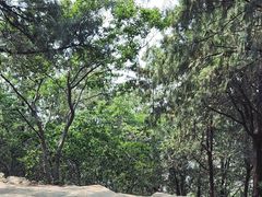 -云龙山