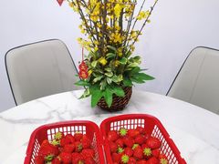 -喜杨洋草莓采摘园