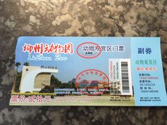 -柳州市动物园