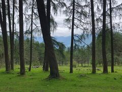-硗碛藏寨·神木垒景区