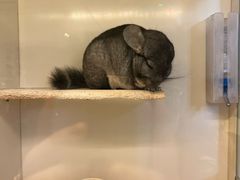 -龙猫仔乐园(惠福东路店)