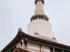 -张掖大佛寺