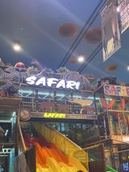 -卡通尼·Safari非洲探索乐园·生日会(金桥国际商业广场店)