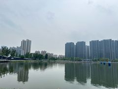 -金沙湖公园