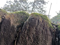 -大润发(合川店)