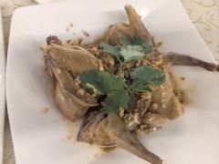 -百利鸽王(紫薇路店)