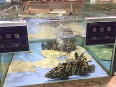 -旺顺阁海鲜广场(亚运村店)