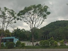 -云溪植物园
