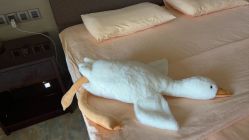 -大美母婴月子中心(吴中店)