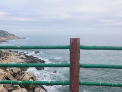 -广东惠东海龟国家级自然保护区