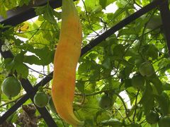 -中国天府农业博览园