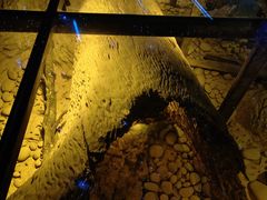 -乐山乌木文化博览苑