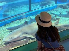 -福州罗源湾海洋世界旅游区