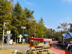 -上海长兴岛郊野公园