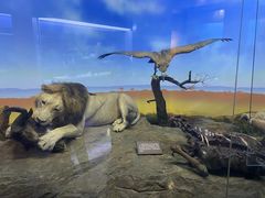 -国家自然博物馆