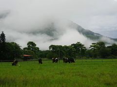 -瑞穗牧场