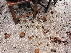 -巴人堂(女儿城店)