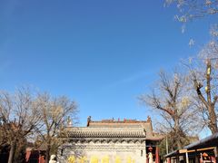 -大槐树寻根祭祖园
