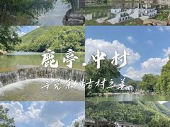 -鹿亭中村