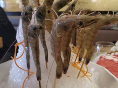 深水虾-尚海豆捞(乐虹坊店)