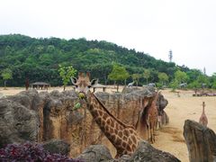 -杭州野生动物世界