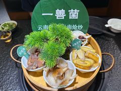 -一善菌·云南菌汤·云南菜(银泰城店)