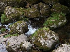 -龙苍沟森林公园