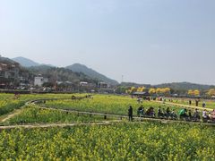 -红山村