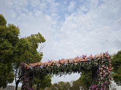 -春花秋色城市公园