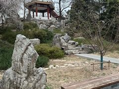 -莲花池公园