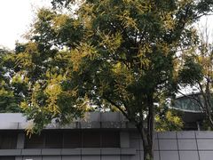 -菊花台公园
