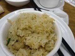 -百利鸽王(紫薇路店)
