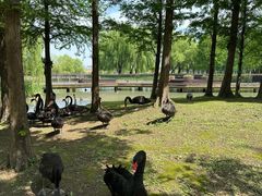 -西山漾湿地公园