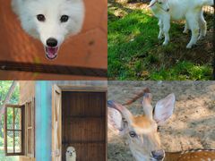 -南戴河国际娱乐中心