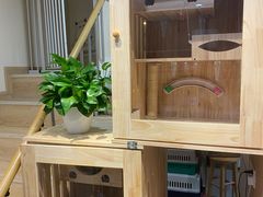 -宠物梦想家(日月豪庭店)