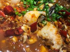 -鱼酷活鱼烤鱼(沈阳大悦城店)