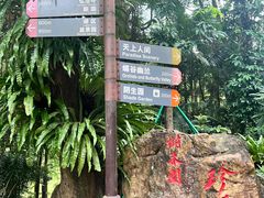 -深圳仙湖植物园