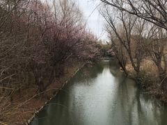 -同里国家湿地公园