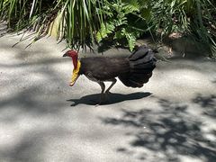 -可伦宾野生动物保护区