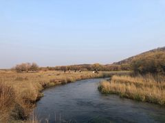 -御道口草原森林风景区