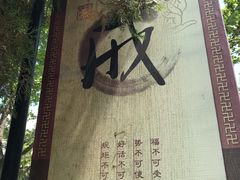 -龙口南山旅游景区