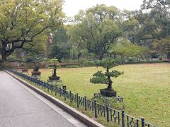 -申粤轩酒楼·三十年粤菜经典(丁香花园店)