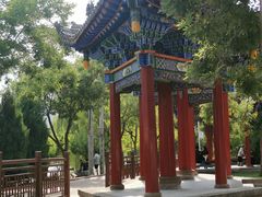 -雁滩公园